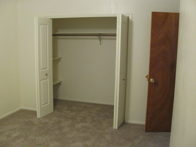 Master bedroom, large closet, new carpets - 5520 Bowden Loop