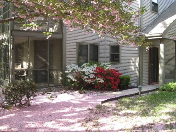 Building Photo - 575 Roslaire Dr