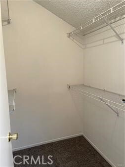 Building Photo - 1640 Shady Brook Dr