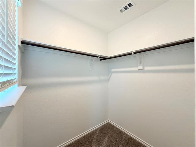 Building Photo - 341 Dry Crk Ln