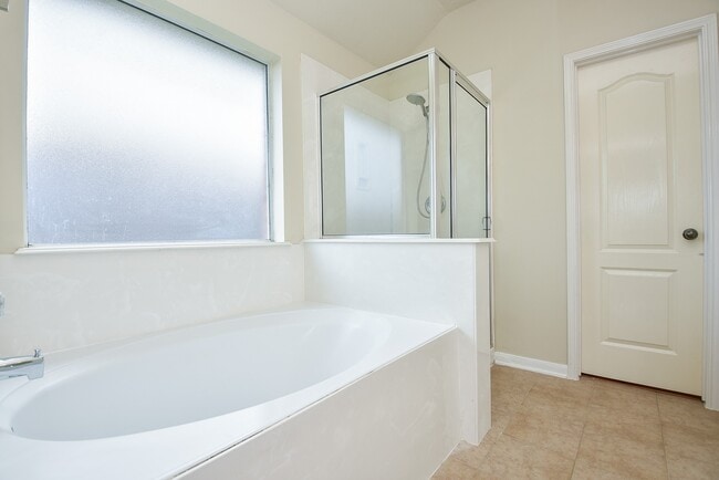 Building Photo - 3217 Mossy Bend Ln