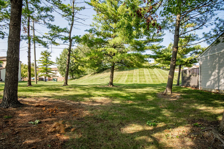 The Big Hill behind the condo - 740 Timber Way Dr