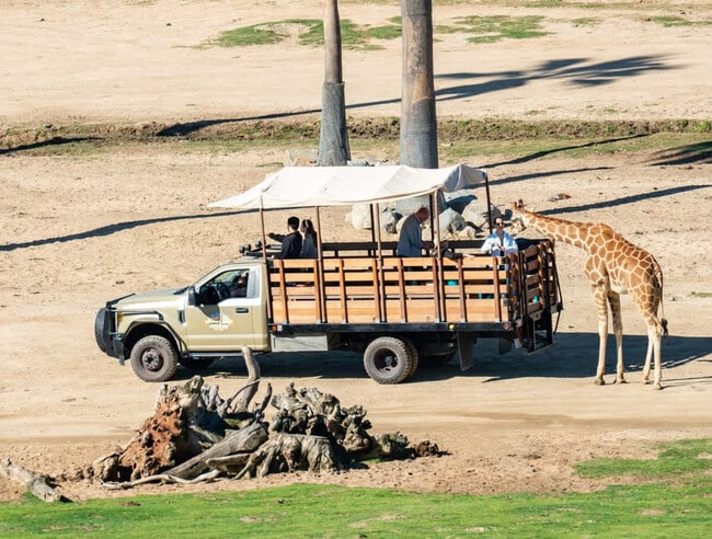 Building Photo - 606 S Sunshine Ave