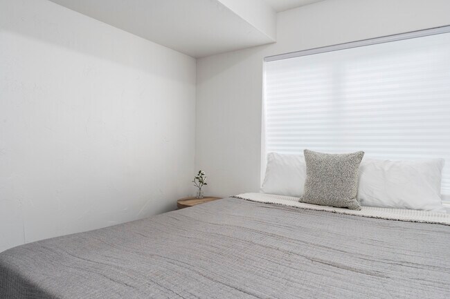 basement queen room 1 - 537 N Mountain Peak Dr