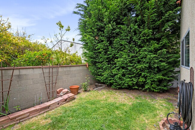 Big backyard with 5 ft tall brick walls. - 1150 W 25th St