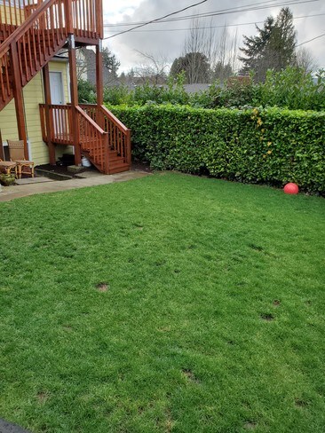 Courtyard - North Bay Villa