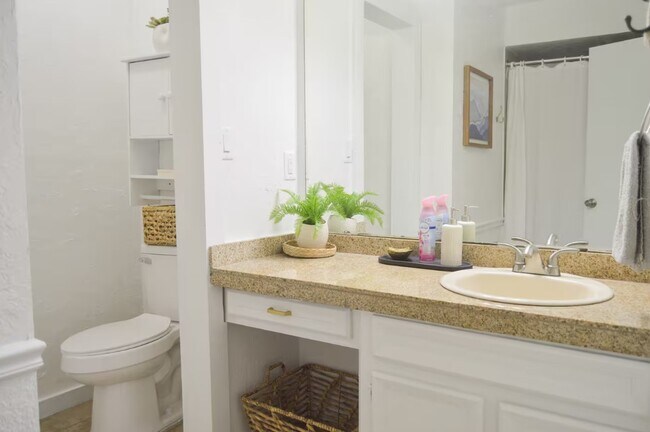 Building Photo - 2369 Apache Dr