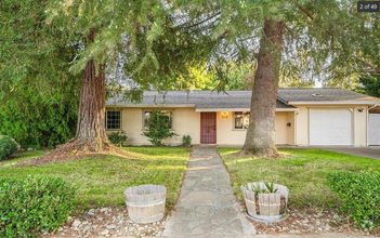 Building Photo - Beautiful Shady Back Yard