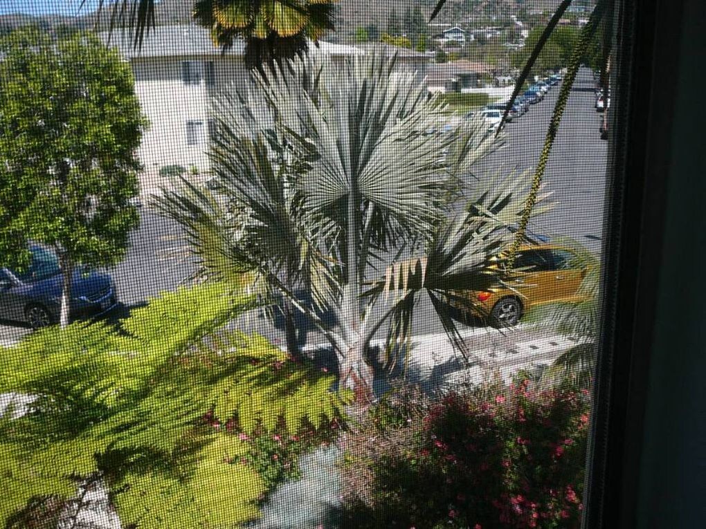 view from unit - 3056 Luna Dr