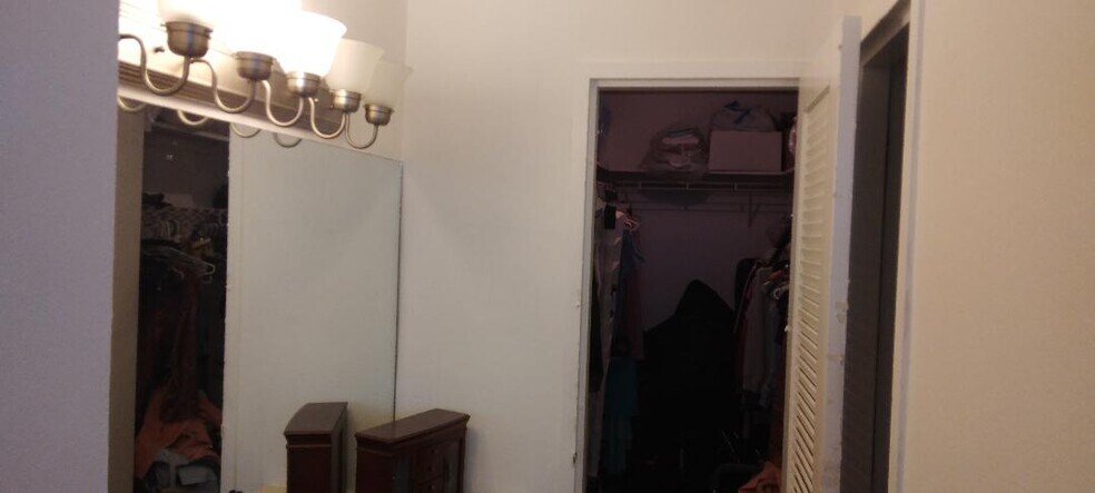 vanity and walk-in closet - 800 West Ave
