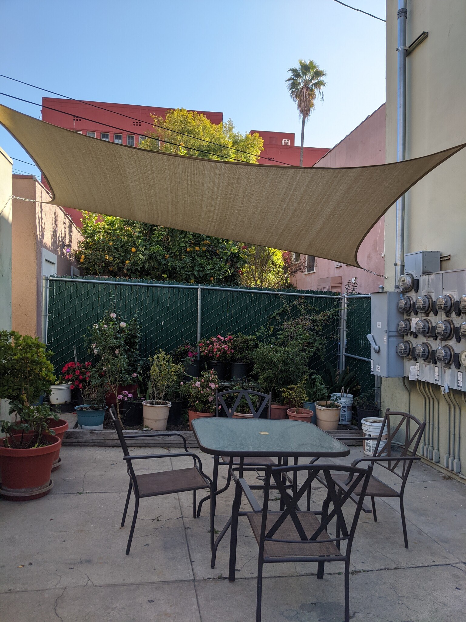 backyard - 206 N New Hampshire Ave
