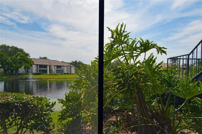 Building Photo - 10265 Gandy Blvd N