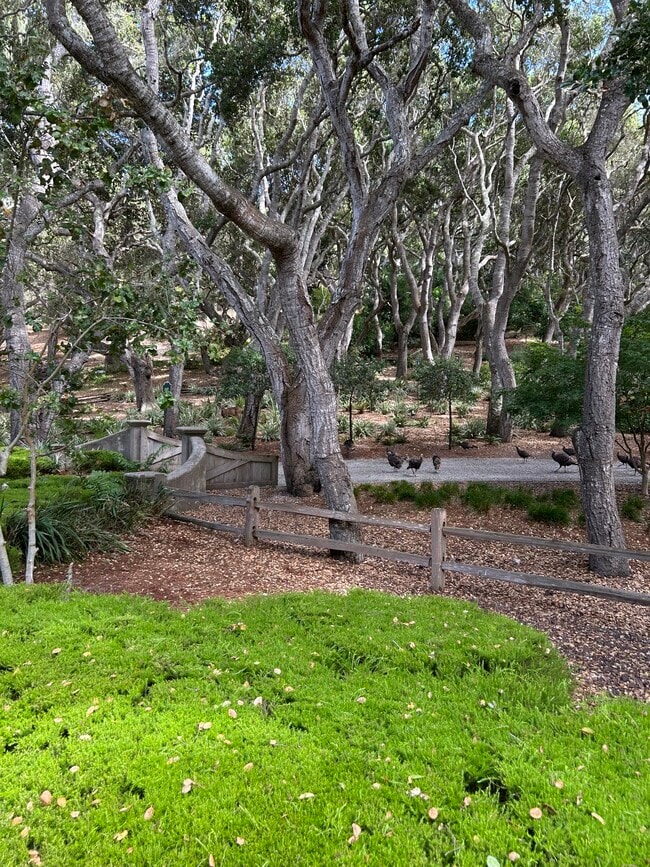 Building Photo - 5476 Quail Meadows Dr