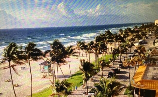 Building Photo - 333 NE 21st Ave