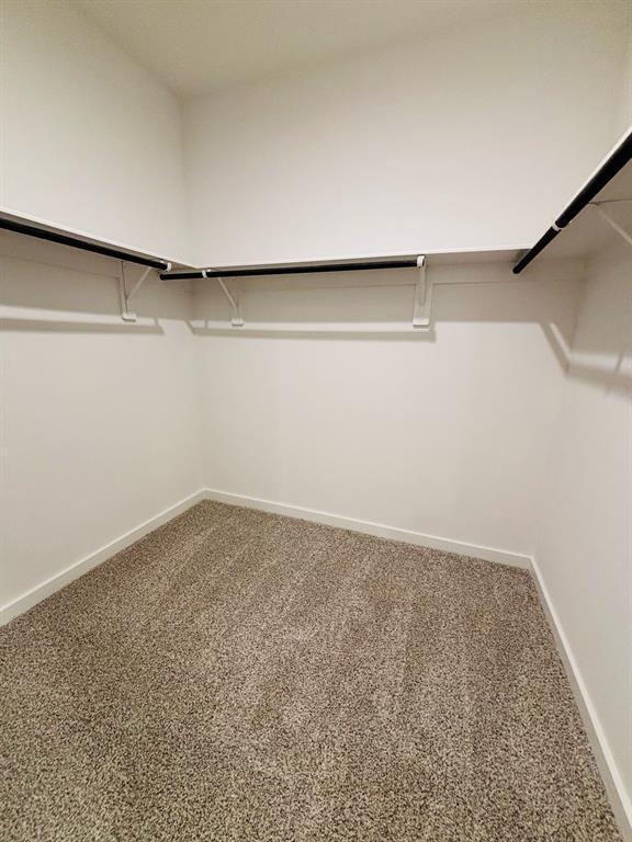 Building Photo - 1719 Mazzini Dr