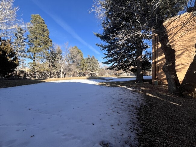 Building Photo - 405 Cam De La Placita