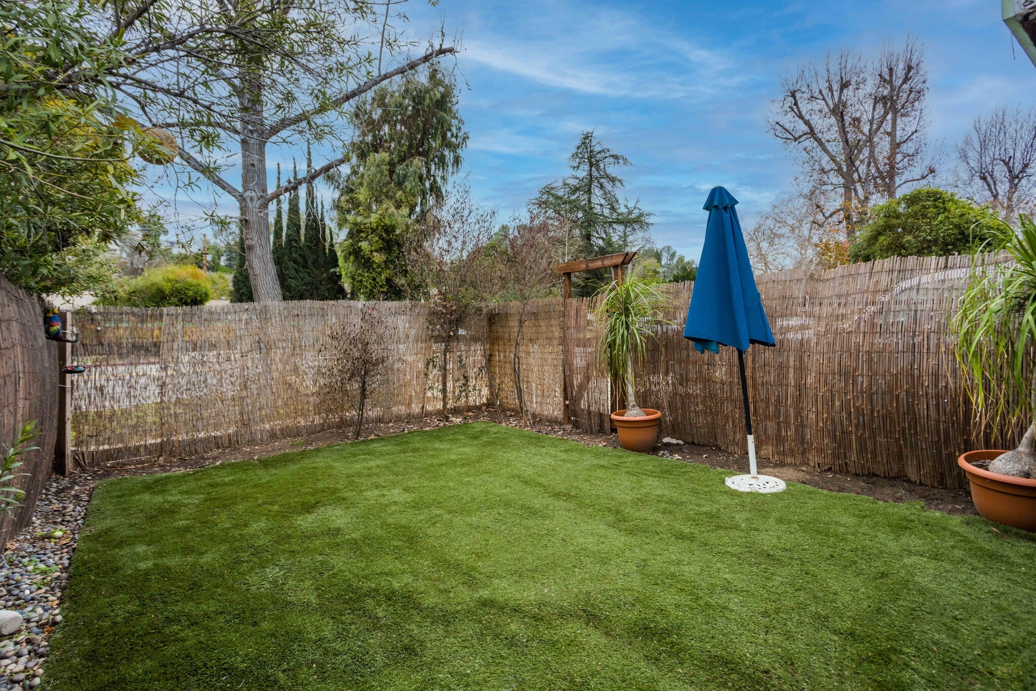 Backyard - 5175 Topanga Canyon Blvd