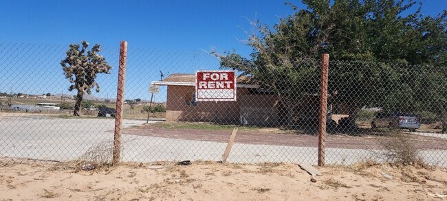 Building Photo - 11825 Cottontail Ln