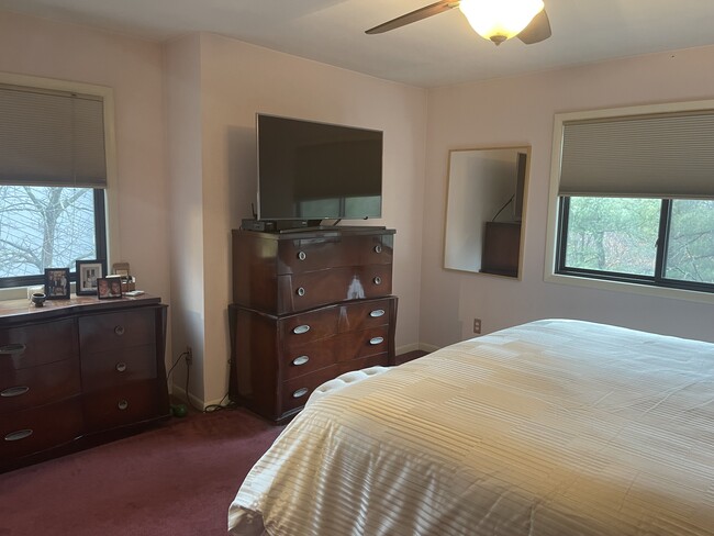 EXTRA LARGE BEDROOM - 217 Magnolia Rd