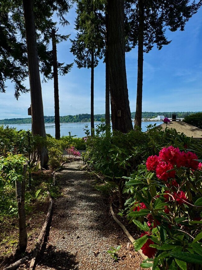 Building Photo - Stunning completely remodeled waterfront P...