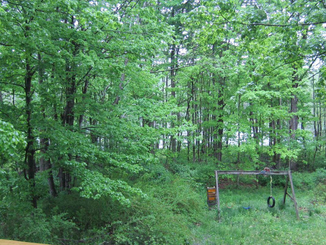 Building Photo - 174 Pattee Hill Rd