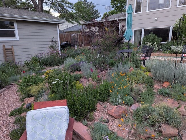 Building Photo - 1202 Paloverde Dr
