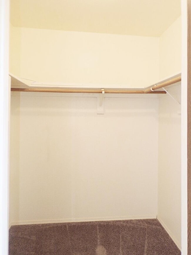 Building Photo - 4135 Calle Barona