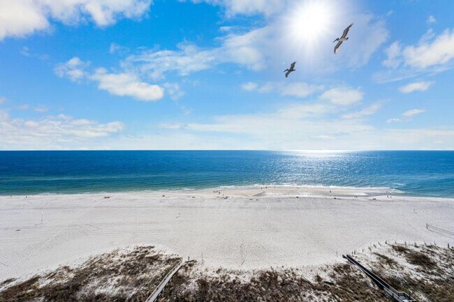 Building Photo - 24770 Perdido Beach Blvd