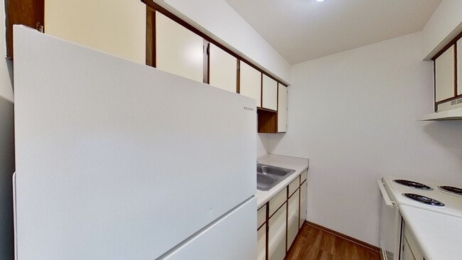 Building Photo - Lower Studio Apartment Available