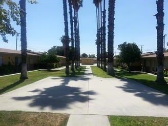 Courtyard - Palm Breeze Apartments