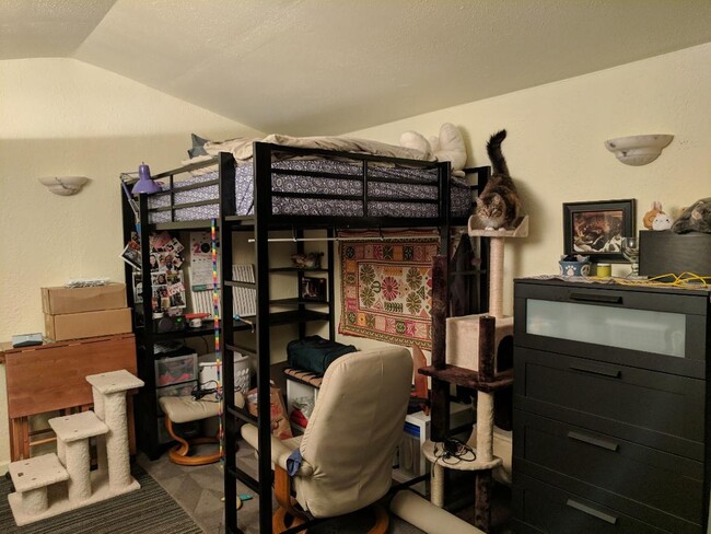 Optional loft bed - cat is not included! Better photo coming soon! - 1515 Valley Rd