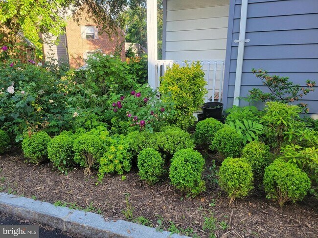 Building Photo - 10 Charlton St