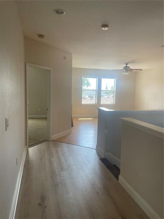 Building Photo - 322 Dundee Dr