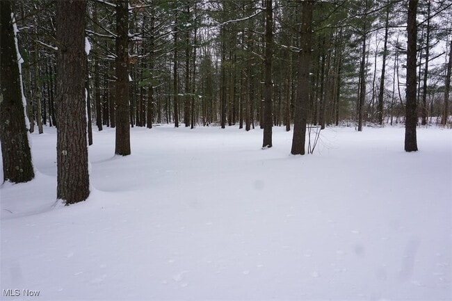 Building Photo - 14543 Ensign Rd