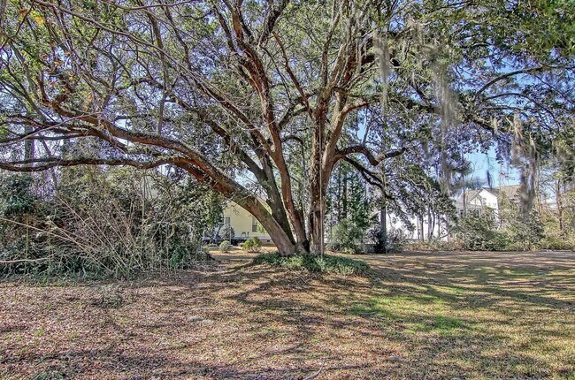 Building Photo - 4 Bedroom 3.5 Bath House in St. Thomas Poi...