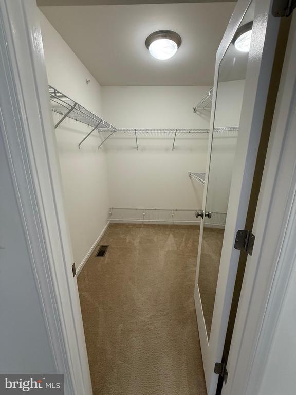 Building Photo - 1818 Cassandra Dr