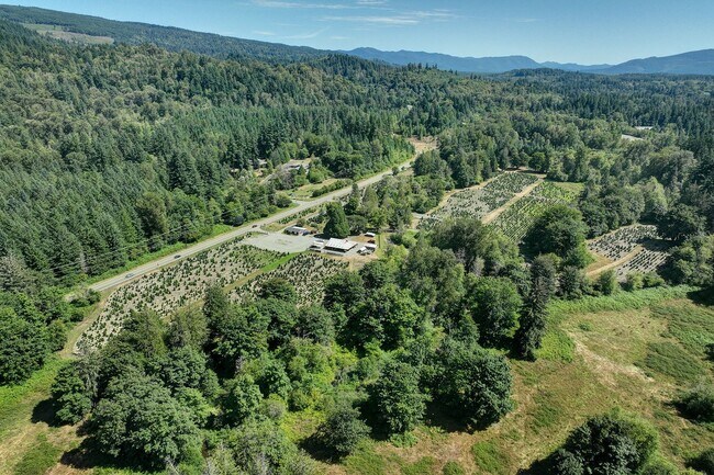 Building Photo - 3bd/2ba Issaquah House