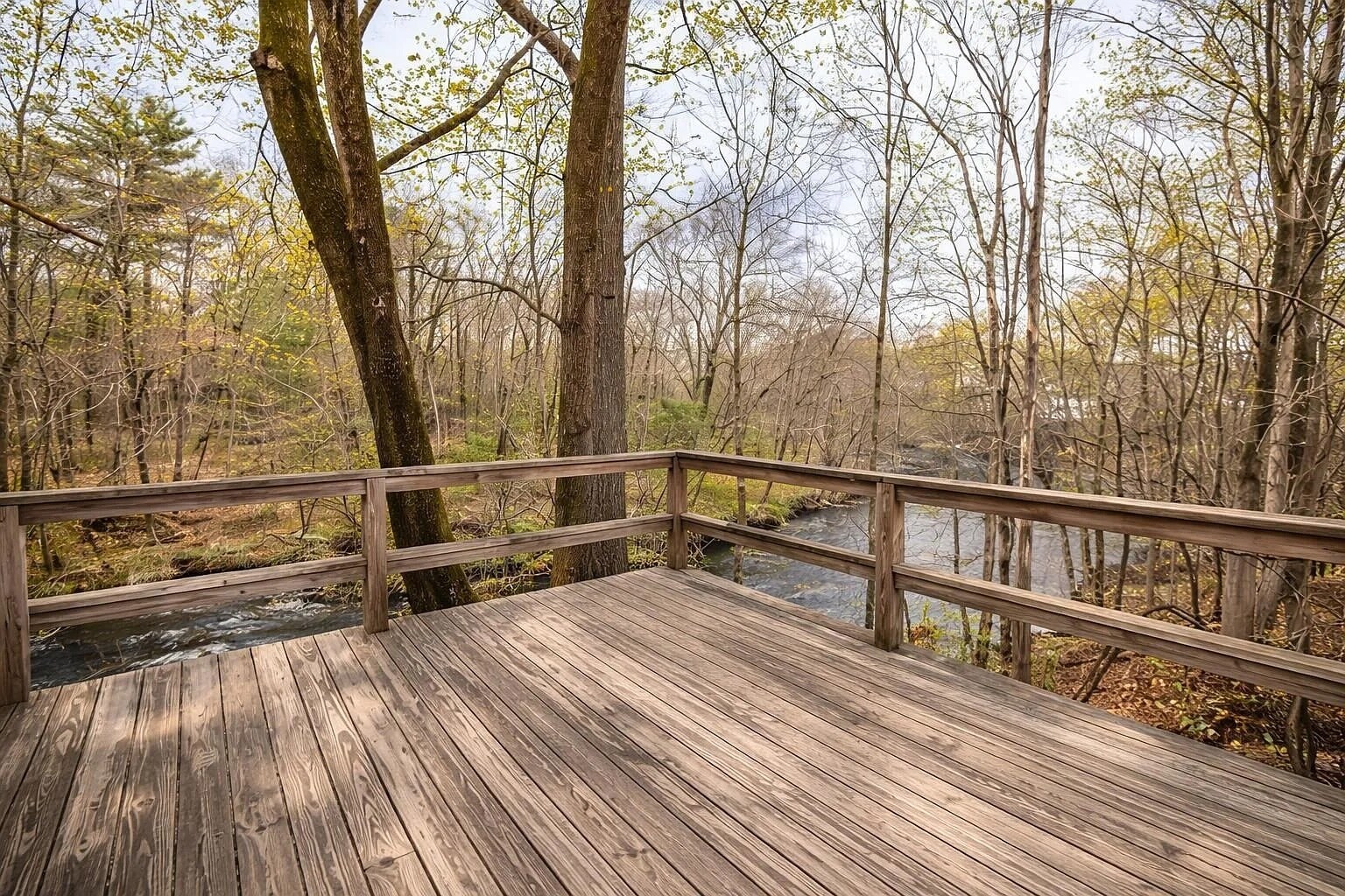 Building Photo - 238 Nashua St