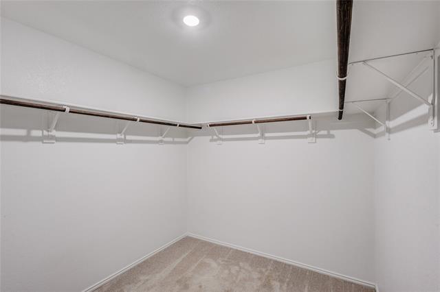 Building Photo - 3505 Flicker Ln