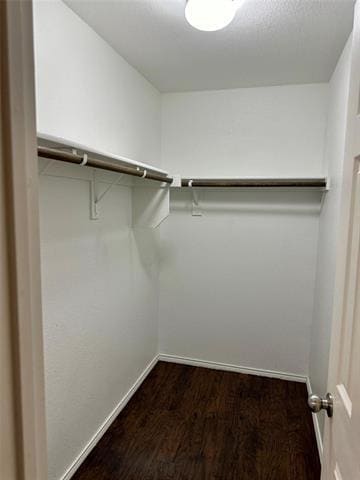 Building Photo - 1804 Gayla Creek Dr