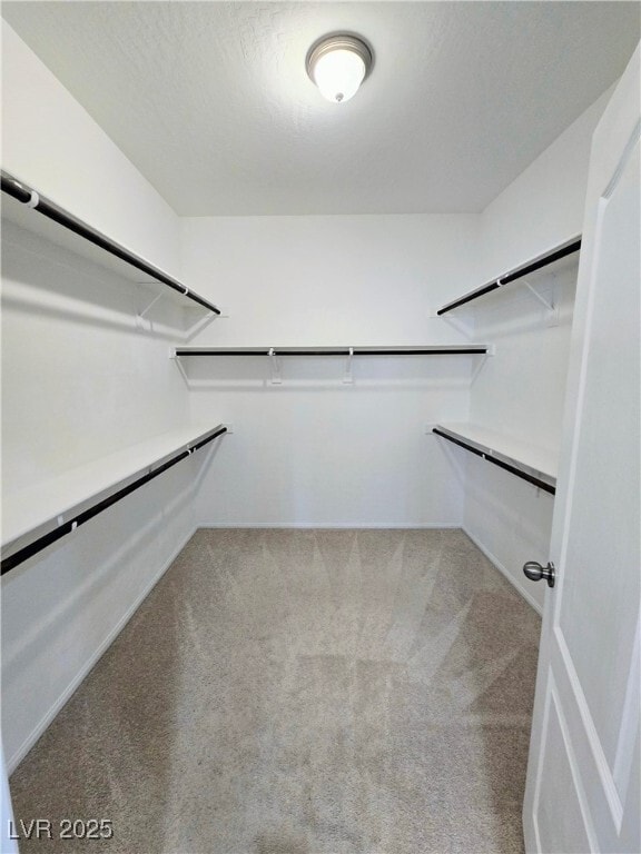 Building Photo - 10855 Casco Bay St