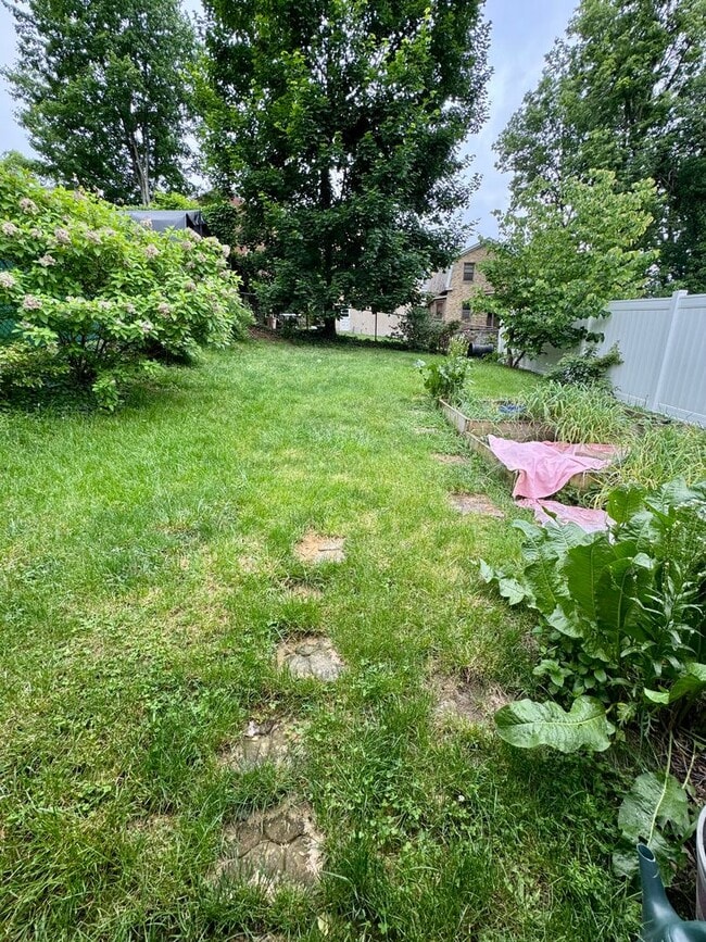 Building Photo - Charming 2 Bed 1 Bath in Beechview!