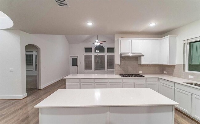 Building Photo - 213 Alicante Ln