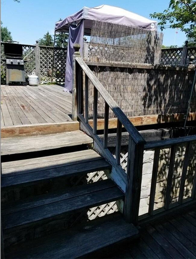 Building Photo - 7 Jackson Ter