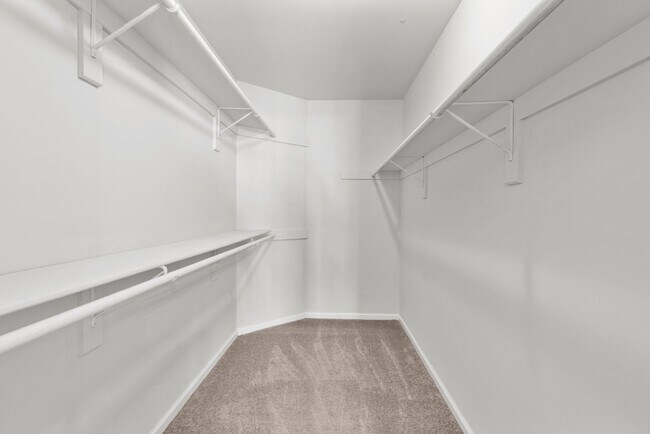 Building Photo - Spacious Condo in Norfolk