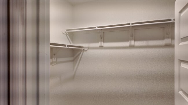 Building Photo - 23011 Bright Lgt Ln