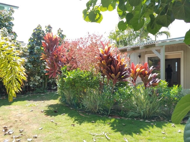 Building Photo - 2br/1ba/2pkg in Coconut Grove Kailua near ...