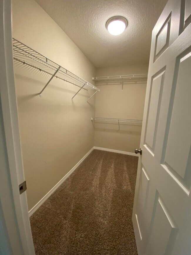 Building Photo - 3150 Vaccari Ct
