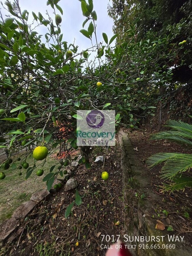 Building Photo - 7017 Sunburst Way