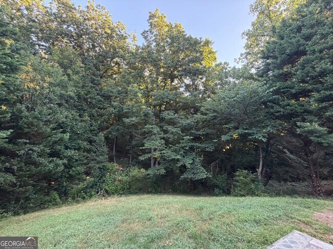 Building Photo - 1105 Trumpet Vine Ct SE